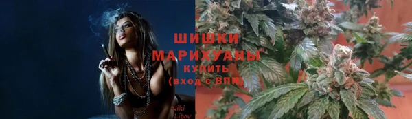 тгк Армянск
