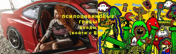 тгк Армянск